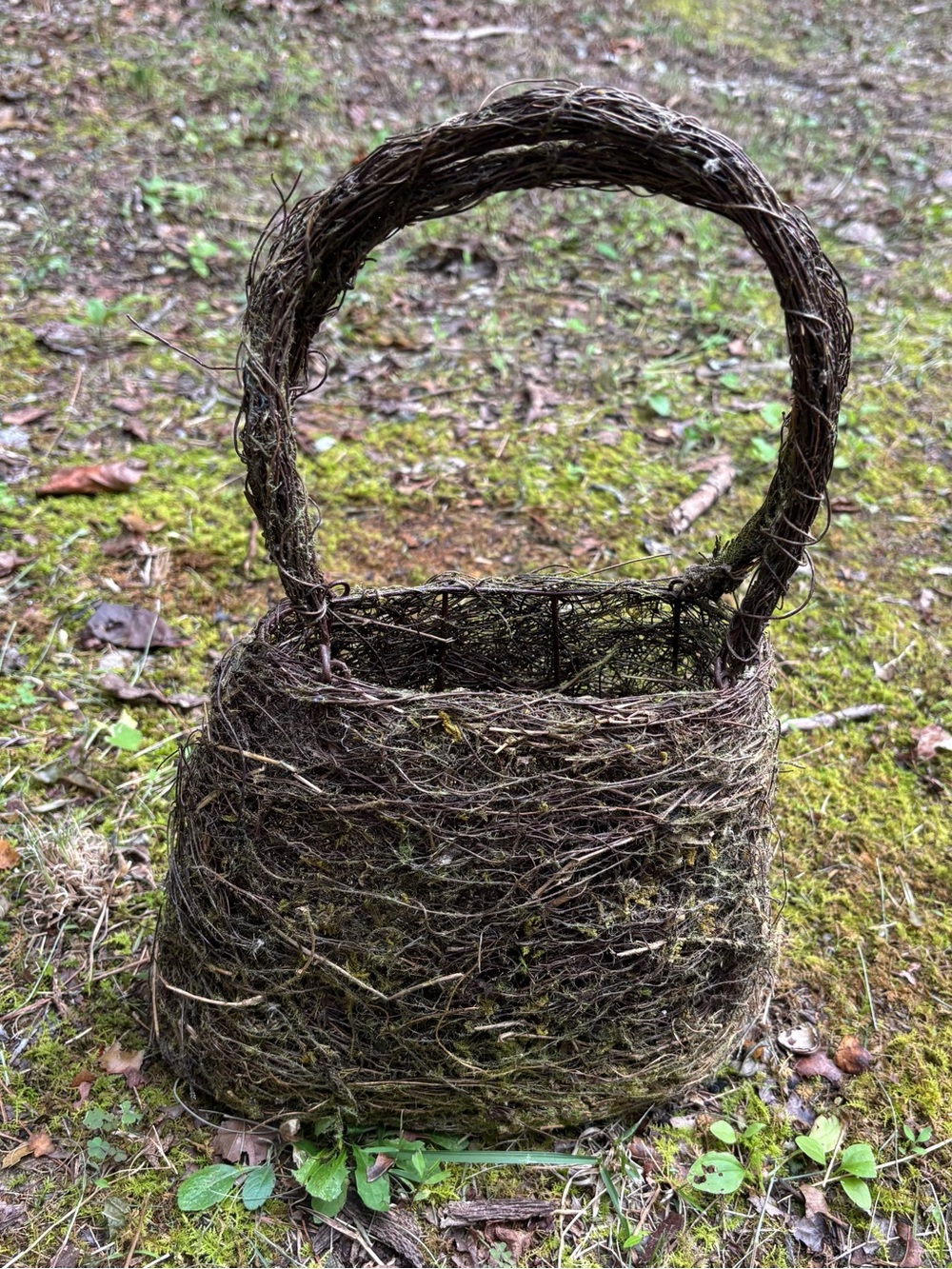 Natural Woven Moss Basket Tote in Brown